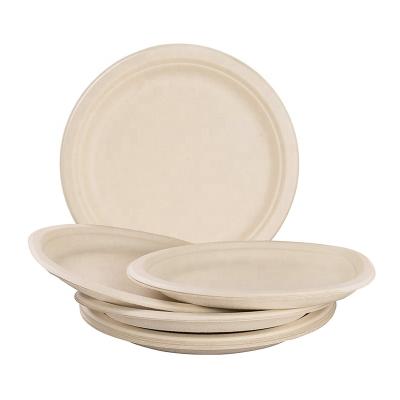 China Biodegradable and Compostable 100% Natural Eco Friendly Disposable Bagasse Sugarcane Dishes for sale