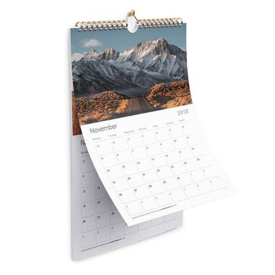 China paper & Cardboard Promotional Monthly Wall Calendar Daily Mounted Planner Printing Large for sale