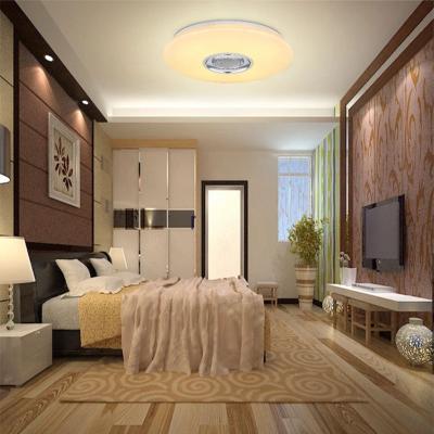 China Factory CCT Dimmable IP20 24W EU EUROPEAN Factory Living Room Modern Music Light RGB Ceiling Lamp for sale