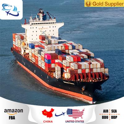 China China Sea Freight Forwarder Shipping Agent Rates From Ningbo Canton Xiamen To USA/Canada/Australia/Germany/UK Air Freight China for sale