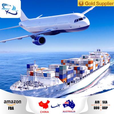 China free shipping for lcl container sea freight shipping rates to australia sea freight from china for sale