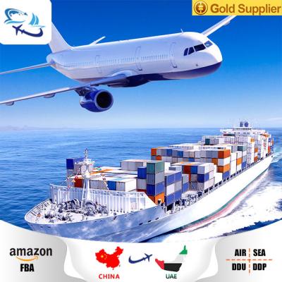 China DDP china fast shipping cargo international door to door sea freight to dubai uae sea freight from china for sale