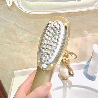 China Hot Sale Vibration Massage Led Ionic Beauty Hair Care Hair Brush With Hair Growth For Liquid Comb Brush for sale