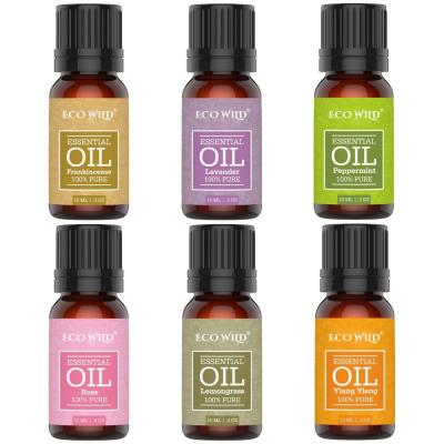 China The Main Spray Naturals 6 Essential Oils - 100% Pure Therapeutic Grade Oil - Rose Frankincense Lavender Ylang Ylang Set D826042 for sale