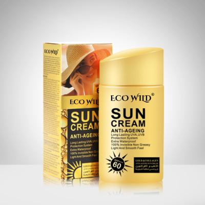 China Hot Sale Sunscreen DR Rashel Argan UV Radiation Sun Protection Sunblock Whitening Cream SPF 60 Sunscreen D8619005 for sale