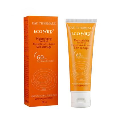 China Sunscreen Moisturizing Concealer PA+++ SPF 60 Sunblock Replenishing Sunscreen D8619003 for sale