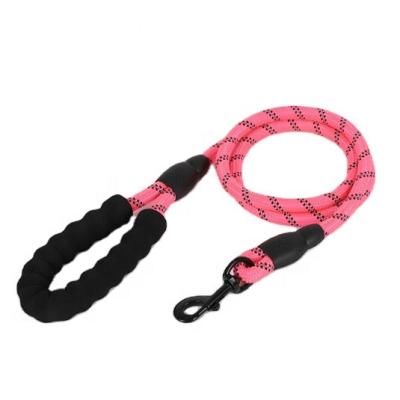 China Wholesale Lead Thoughtful Strong Nylon Rope Dog Pet Leash Thoughtful Running Dog Rope With Padded Handle for sale