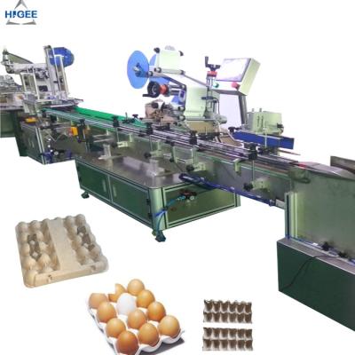 China Egg tray carton box labeling machine with egg plastic boxes,  flat labeling machine with eggs protector box egg sand box for sale