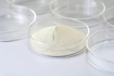 China Besthway Food Grade Lipase Bakery Enzyme Hydrolyze Fat And Improve Food Quality for sale