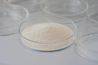 China Lipase Leather Enzyme Used In Oil And Fat Processing / Leather / Washing / Paper Making for sale