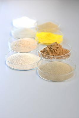 中国 Boost Your Food Processing Solutions with PH Range 4.5-9.0 Food Grade Enzymes 販売のため