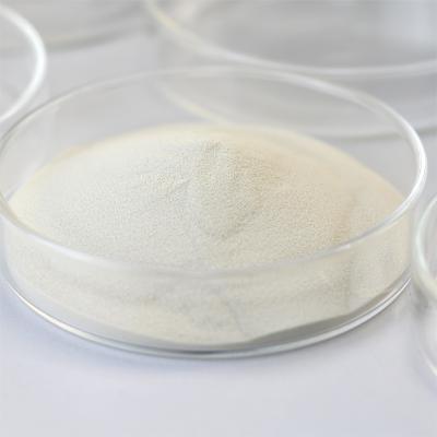 China Starch Hydrolysis,Food Grade Fungal Amylase,α - Amylase for sale