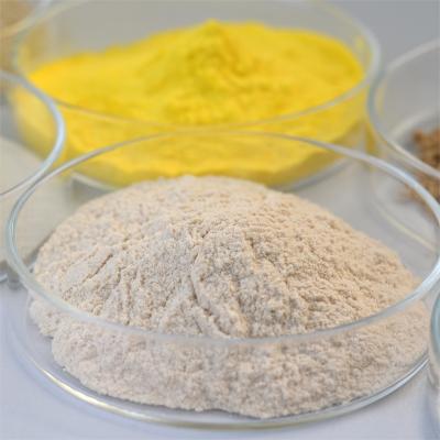 China 300-500 U/G Tannase Food Grade Enzymes Powder Degrade Gallotannin for sale