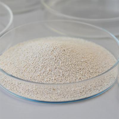 China 100000-800000U/G Lipase Industrial Enzyme Leather Enzyme Powder And Liquid for sale