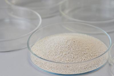 China Liquid Pulp And Paper Enzymes Break The Wall Of The Fiber Cells Filamentation Broom for sale