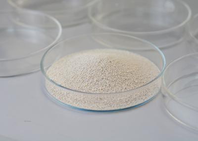 China Alpha Galactosidase Powder Bio Enzymes For Wastewater Treatment Food Grade for sale