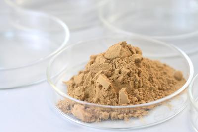 China Multi Enzyme Glucoamylase Food Additives Powder / Liquid for sale