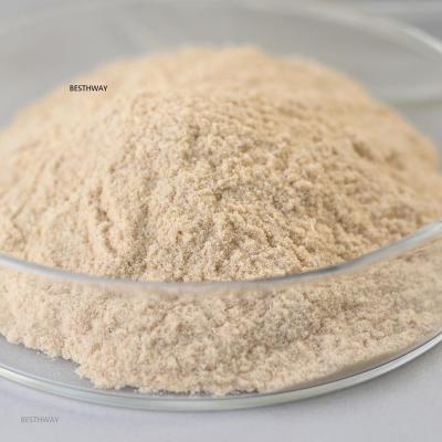 China Thermostable Alkaline Protease Biodiesel Enzyme Hydrolyze Proteins for sale