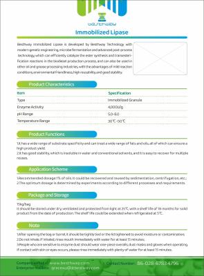 中国 Immobilized Lipase, Industrial Enzyme,Bioenergy Enzyme 販売のため