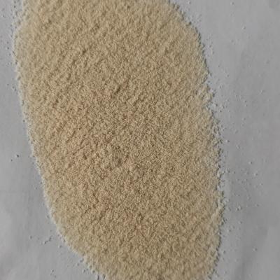 China Food Grade Enzyme Preparations,Food Grade Neutral Protease for sale