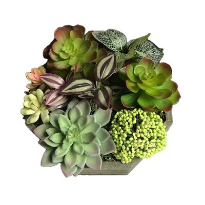 China Contemporary Artificial Plant Succulent Pot for Daily Home and Office Decoration for sale