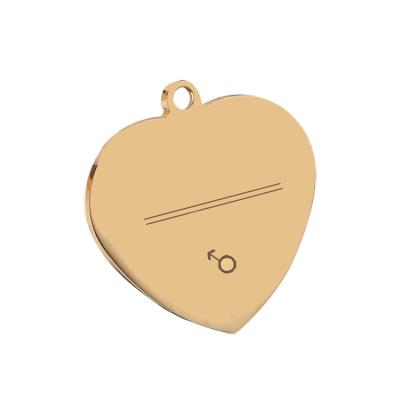 China Europe Custom Engrave Stainless Steel Dog Tag Bone Shape Pet ID Tag for sale