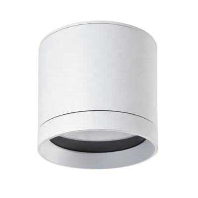 China 20W Tempered Glass Clear Outdoor Corridor LED Outdoor Mounted Ceiling Light for sale