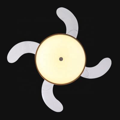 China DC Power New 42 Inch Modern Decorative Bladeless Fan Led Light Ceiling Fan With Remote Control for sale