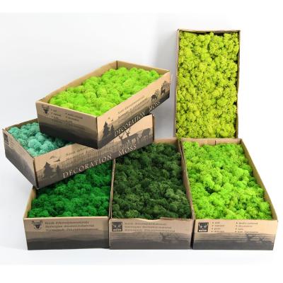 China Wholesale Eco-friendly Indoor Natural Green Lichen DIY Materials Decorative Moss Wall Preserved Moss for sale