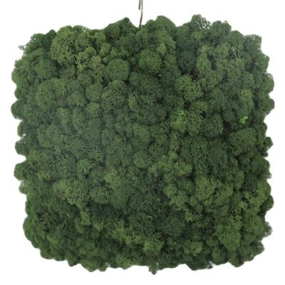 China Low Cost Handmade Goods Using Holiday Modern Home Arts Handcrafted Moss Block Decor for sale