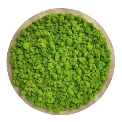 China Wholesale New Christmas high quality home colorful festival products natural gold low price decor supplier decorative preserved moss for sale