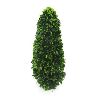 China Home Decoration Wholesale Plants Topiary Potting Making Decoration Garden Supplies Natural Green Preserved Lobular Boxwood for sale