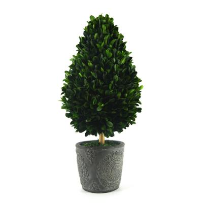 China Wholesale 100% natural leaf potting indoor topiary decoration eco-friendly preserved boxwood miniascape for sale