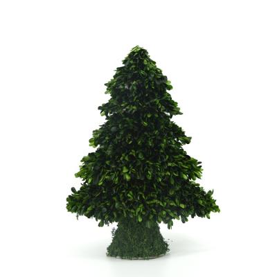 China Eco-friendly Wholesale Handmade Green Leaves Decorate Trees Indoor Ornament Preserved Lobular Boxwood for sale