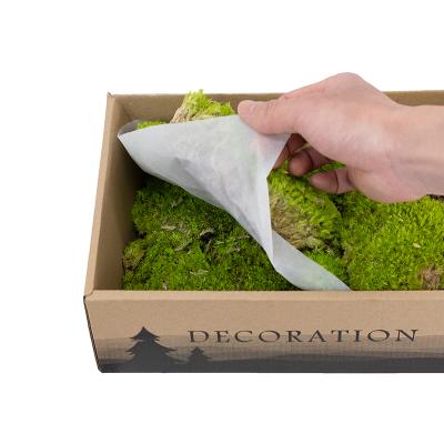 China Environmentally Friendly Preserved Polish Moss Pillow Bun Cushion Mood Moss Natural Green Decorative Real for sale