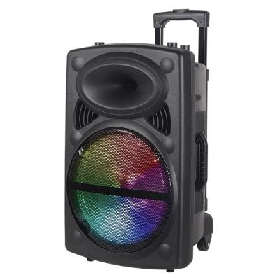 China No 12 Inch Classic, Wireless Cart, BT Speaker (Support: OEM Portable Box Speakers) for sale