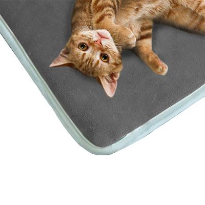 China Rechargeable Pet Heater Heated Pad for Dog Cat Electric Heating Pad Pad Blanket for Pet for sale