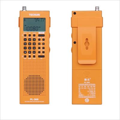 China NEW PL-368 Mini Portable DSP ETM ATS MW PORTABLE World Band FM-Stereo Switch Stereo Radio 64-108MHZ for sale