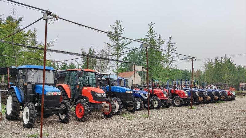 Fornitore cinese verificato - Linyi Yunfan Comprehensive Agricultural Development Co., Ltd.