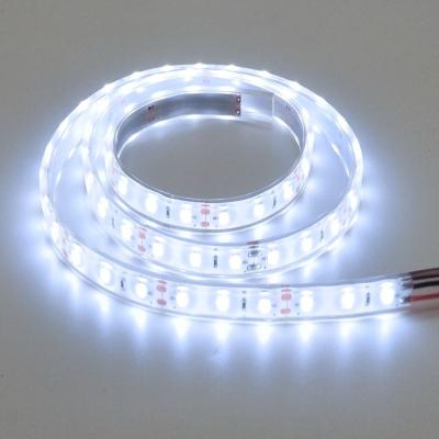 China Garden DC24V 12W/M Waterproof IP68 Full Coating SMD 5630 LED Tira for sale