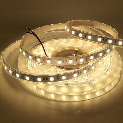 China indoor lighting usd0.26 per strip 5050 ip20 led per meter super cheap rgb 12v 18leds/m 30leds/m tira for sale