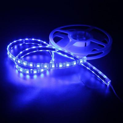 China Customizable Home KTV Wedding LED Light Strip 5050 Indoor Lighting Flexible Mood Light for sale