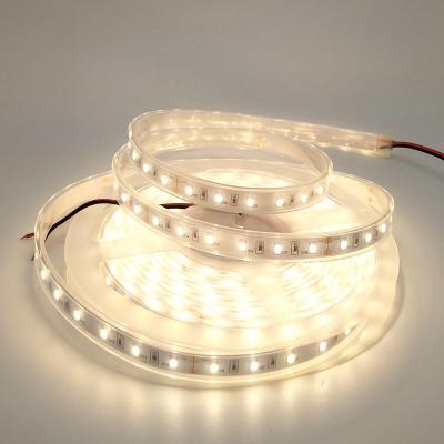 China Indoor lighting striscia luce di striscia LED ip65 de condotto d'ha de caldo de bianco de Smd 2835 for sale