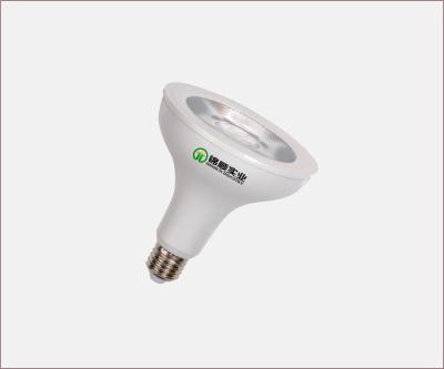 China Cool White 12W LED Par Light Bulbs LED Par 30  with CE ROHS for sale