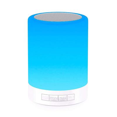 China Portable Phone Function Colorful LED Night Light Color Changing Touch Smart Lamp Wireless Speaker With Hanger for sale