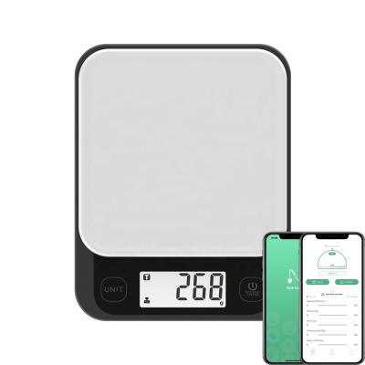 China With Calorie Free Food Scale Tray Weighing Kitchen Food Digital Scale ABS Samrt App Scales for sale