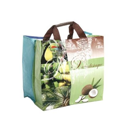 China Hot Selling Chinese Manufacturer Full Printing PP Woven Waterproof Bag For Shopping for sale