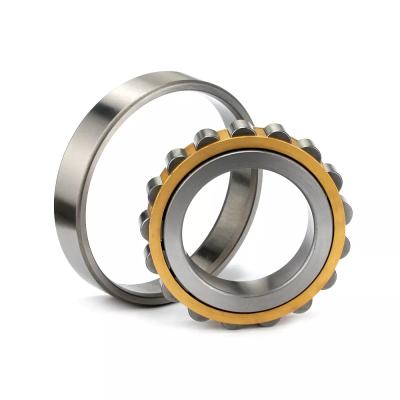 China Long Life NU1019 Chrome Steel 95*145*24 mm Brass Cage Cylindrical Roller Bearing For Mining Machine Bulldozer for sale