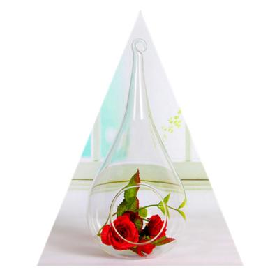 China Borosilicate Glass Mini Greenhouse Modern Hanging Glass Vase for Plants and Decoration Accessories for sale