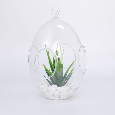 China Various Modern Shaped Decorative Home Wall Indoor Plant Vase Mini Glass Greenhouse for sale